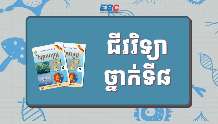 ជីវវិទ្យាថ្នាក់ទី៨